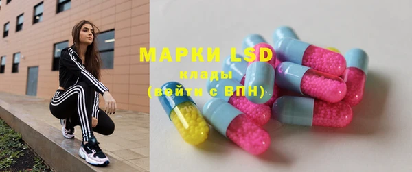 ГАЛЛЮЦИНОГЕННЫЕ ГРИБЫ Бородино