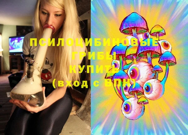 хмурый Бронницы
