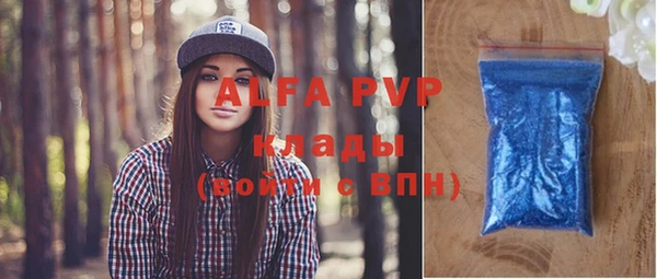 ГАЛЛЮЦИНОГЕННЫЕ ГРИБЫ Бородино