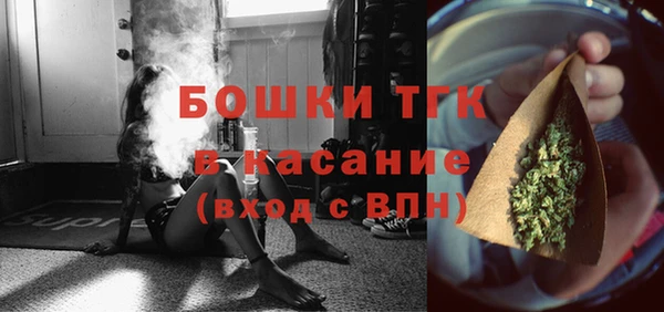 ГАЛЛЮЦИНОГЕННЫЕ ГРИБЫ Бородино